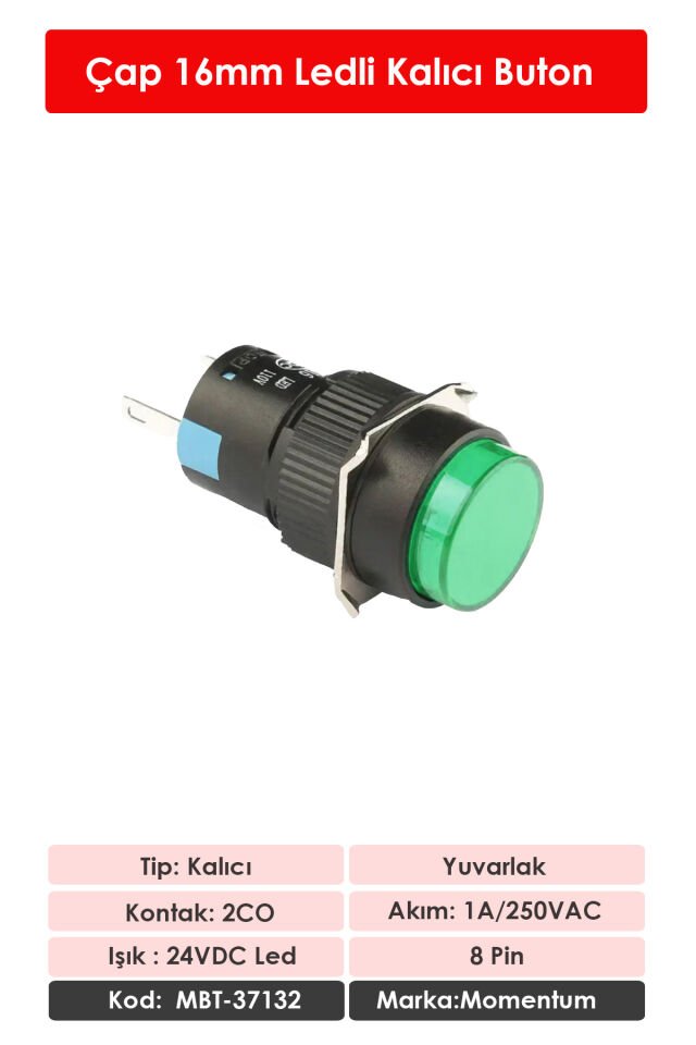 Momentum D16 Işıklı Buton 24V Kalıcı 2CO Yuvarlak Yeşil MBT-37132