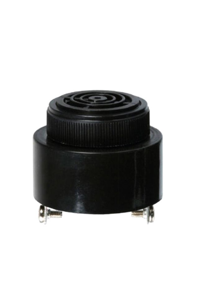 Momentum 30mm Buzzer Tek Ton 24VAC/DC MSS-31024