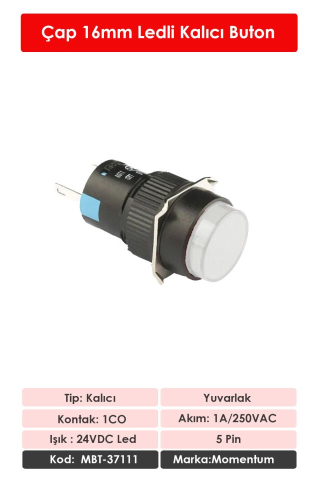 Momentum D16 Işıklı Buton 24V Kalıcı 1CO Yuvarlak Beyaz MBT-37111