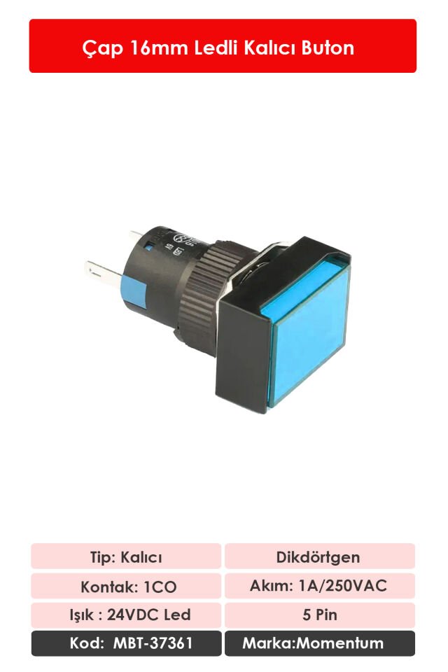 Momentum D16 Işıklı Buton 24V Kalıcı 1CO Dörtgen Mavi MBT-37361