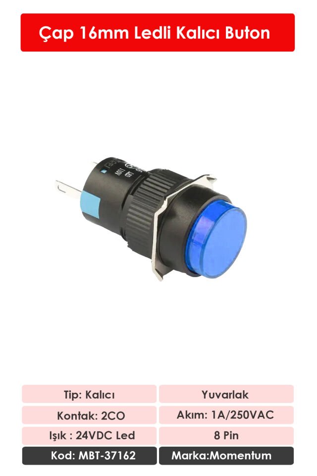 Momentum D16 Işıklı Buton 24V Kalıcı 2CO Yuvarlak Mavi MBT-37162