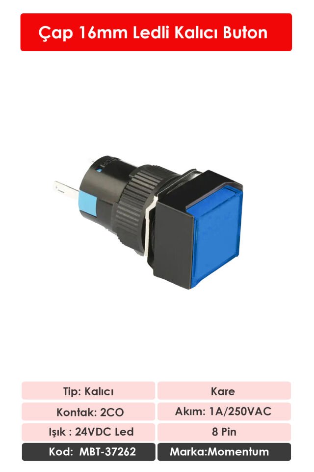 Momentum D16 Işıklı Buton 24V Kalıcı 2CO Kare Mavi MBT-37262